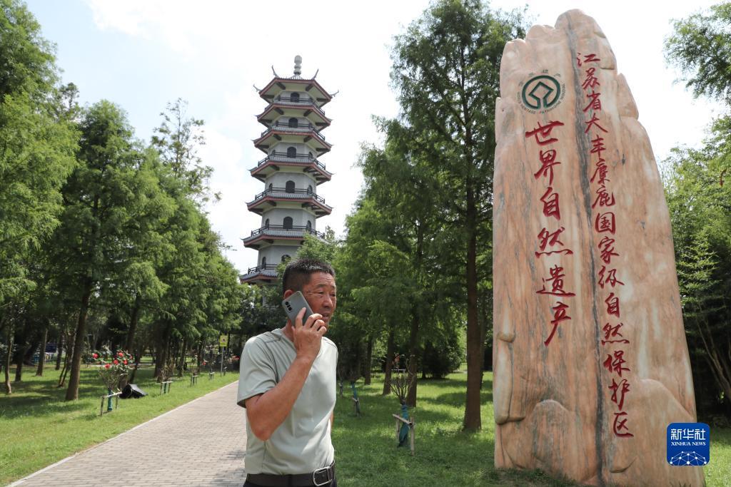 红宝石赌博登录